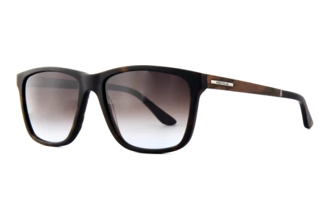 Lunettes de soleil Wood Fellas Focus (11716 curled/havana)