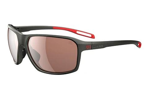Lunettes de soleil evil eye action (E011 6500)