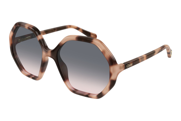 Lunettes de soleil Chloé CC0004S 009