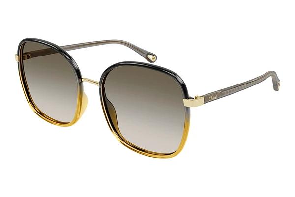 Lunettes de soleil Chloé CH0031S 010