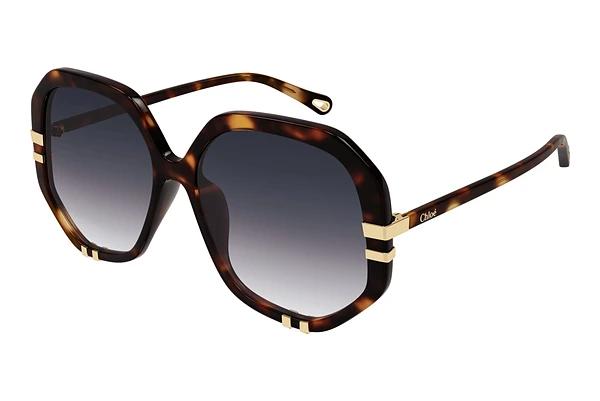 Lunettes de soleil Chloé CH0105S 004