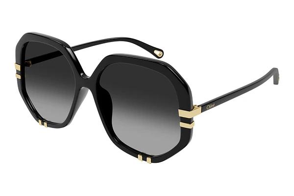 Lunettes de soleil Chloé CH0105S 008