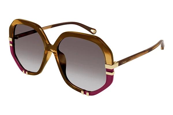 Lunettes de soleil Chloé CH0105S 009