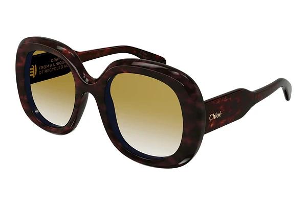 Lunettes de soleil Chloé CH0153S 002