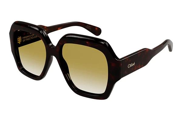 Lunettes de soleil Chloé CH0154S 002