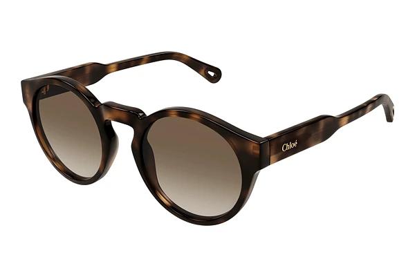 Lunettes de soleil Chloé CH0158S 002