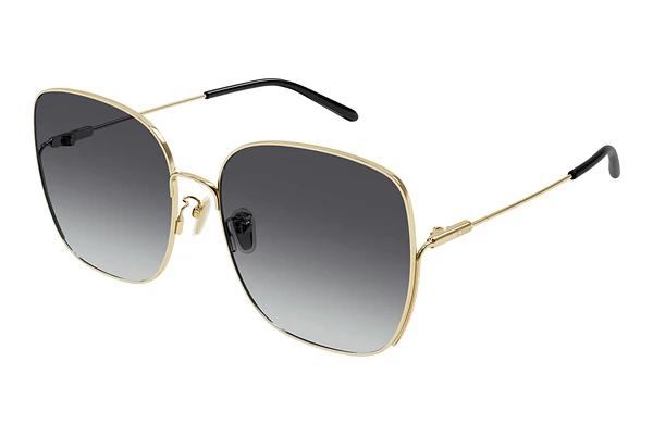 Lunettes de soleil Chloé CH0170SA 005