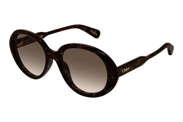 Lunettes de soleil Chloé CH0221S 002