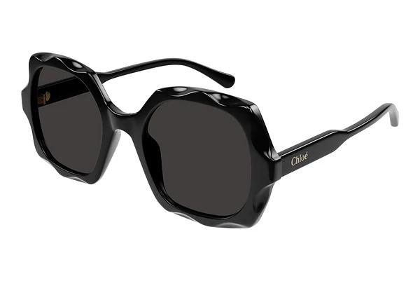 Lunettes de soleil Chloé CH0226S 005