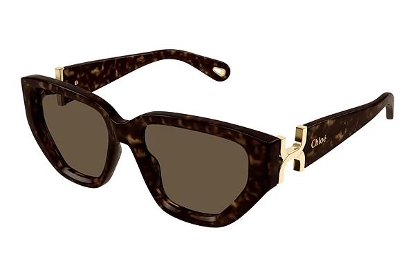 Lunettes de soleil Chloé CH0235S 002