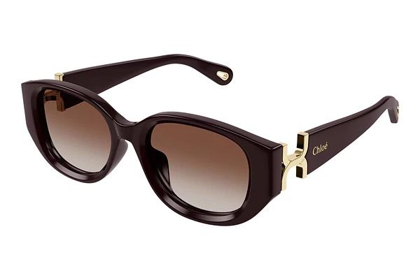 Lunettes de soleil Chloé CH0237SK 003