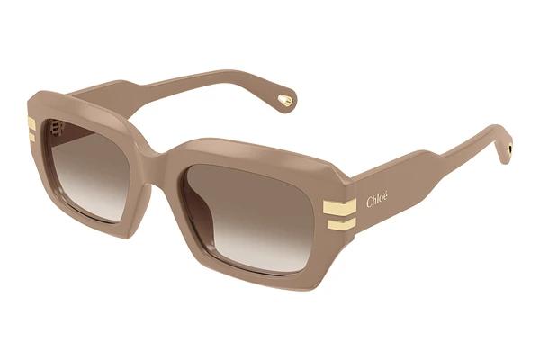 Lunettes de soleil Chloé CH0256S 005