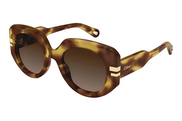Lunettes de soleil Chloé CH0257S 002