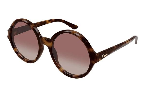 Lunettes de soleil Chloé CH0290S 003