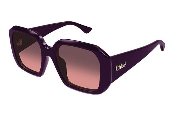 Lunettes de soleil Chloé CH0300S 004