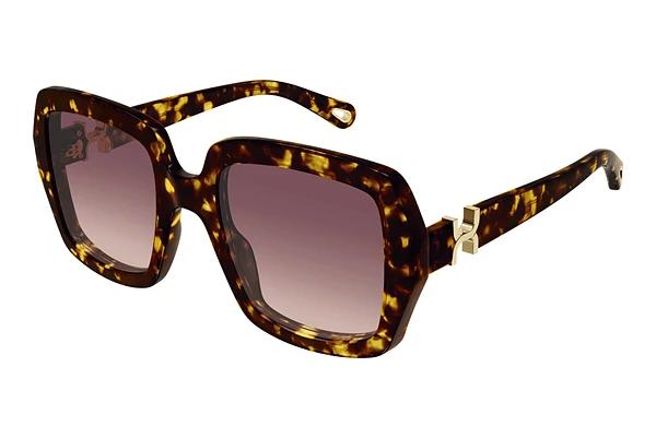 Lunettes de soleil Chloé CH0301S 002