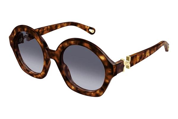 Lunettes de soleil Chloé CH0302S 002