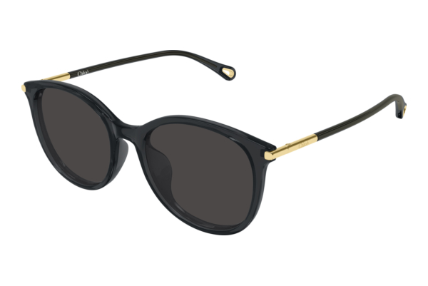 Lunettes de soleil Chloé CH0397SK 001