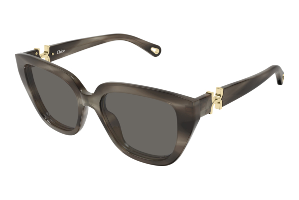 Lunettes de soleil Chloé CH0410S 002