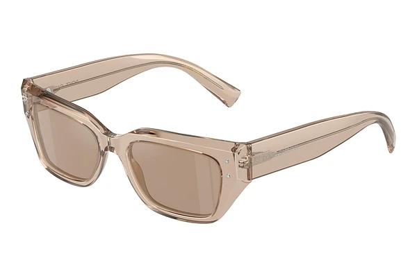 Lunettes de soleil Dolce & Gabbana DG4462 34325A