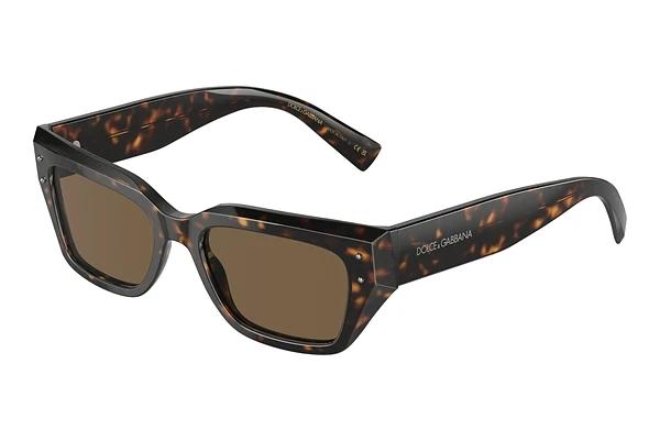 Lunettes de soleil Dolce & Gabbana DG4462 502/73