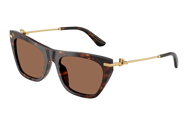 Lunettes de soleil Dolce & Gabbana DG4511 502/73