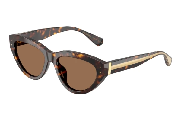 Lunettes de soleil Dolce & Gabbana DG4558 502/73