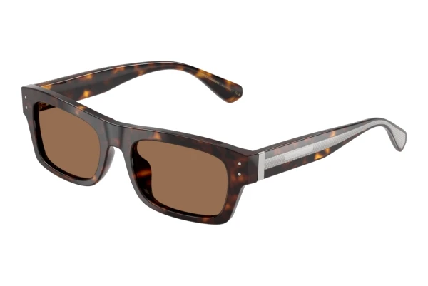 Lunettes de soleil Dolce & Gabbana DG4560 502/73
