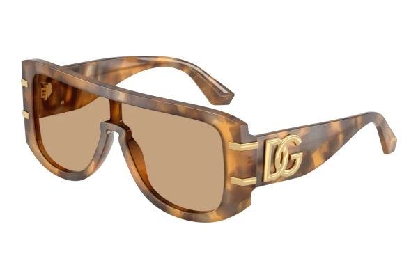 Lunettes de soleil Dolce & Gabbana DG4565 349663
