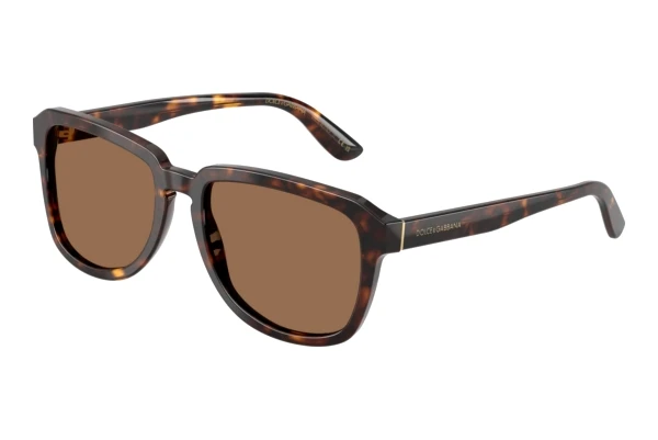 Lunettes de soleil Dolce & Gabbana DG4566 502/73