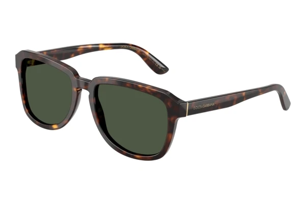 Lunettes de soleil Dolce & Gabbana DG4566 502/9A