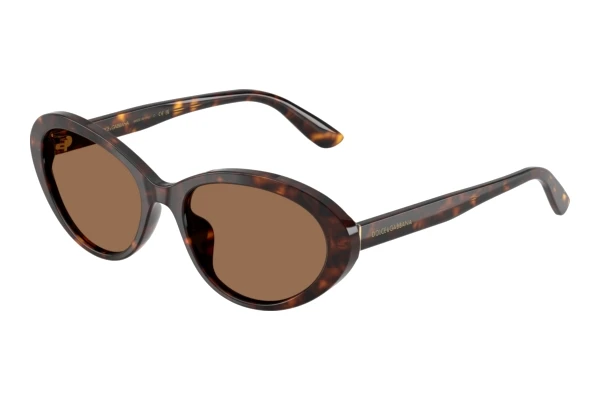 Lunettes de soleil Dolce & Gabbana DG4570 502/73