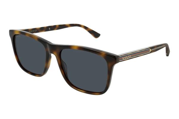 Lunettes de soleil Gucci GG0381S 009