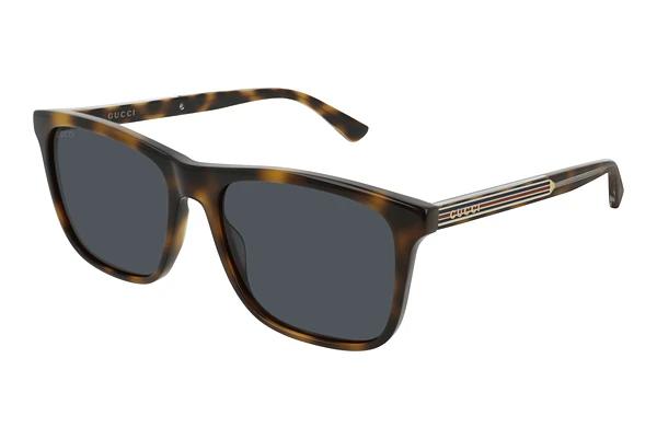 Lunettes de soleil Gucci GG0381SN 009