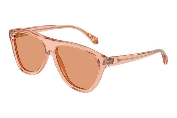 Lunettes de soleil Moncler INCLINE (ME6025U 3045/7)