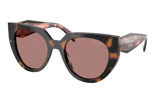 Lunettes de soleil Prada PR 14WS 23A60B
