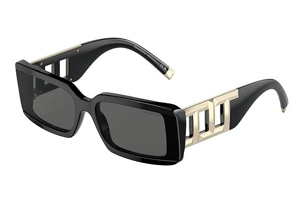 Lunettes de soleil Tiffany TF4197 8001S4