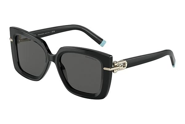 Lunettes de soleil Tiffany TF4199 8001S4