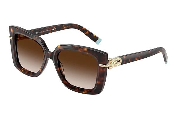 Lunettes de soleil Tiffany TF4199 80153B
