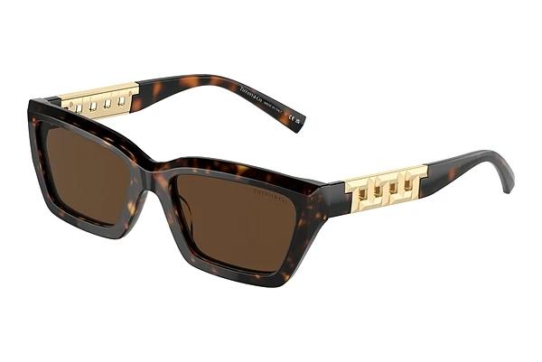 Lunettes de soleil Tiffany TF4213 80153G