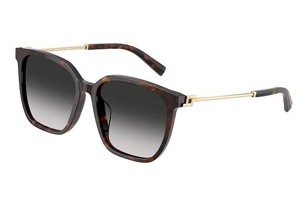 Lunettes de soleil Tiffany TF4244D 80153C