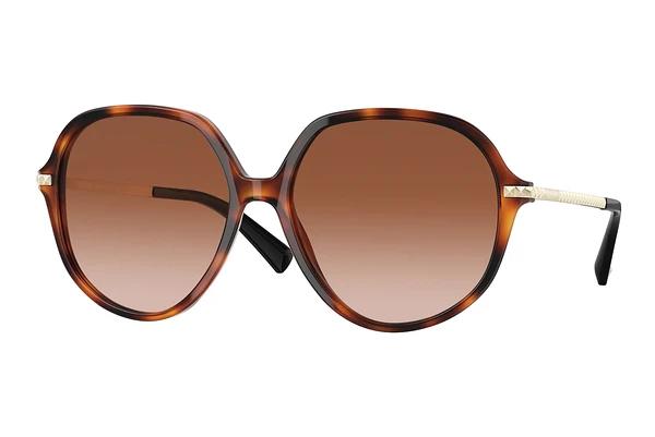 Lunettes de soleil Valentino VA4099 501113
