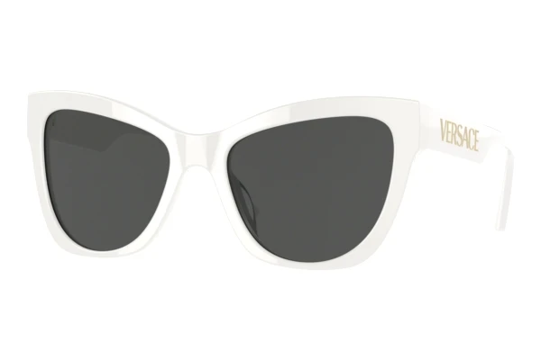 Lunettes de soleil Versace VE4417U 314/87