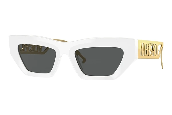 Lunettes de soleil Versace VE4432U 401/87