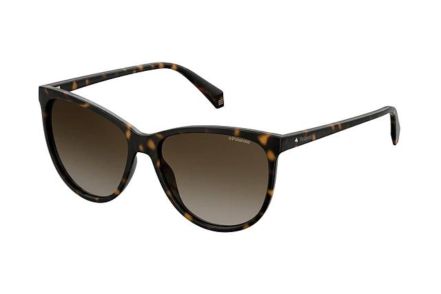 Carrera New Safari KME (J6) HVNA BRWN Carrera New Safari KME (J6) HVNA BRWN